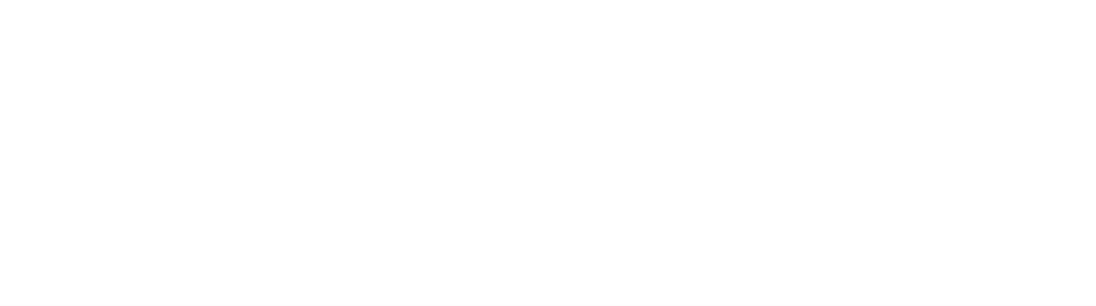 Valley-Wellness-logo-white